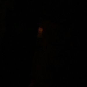 Meet your Posher, Dylan